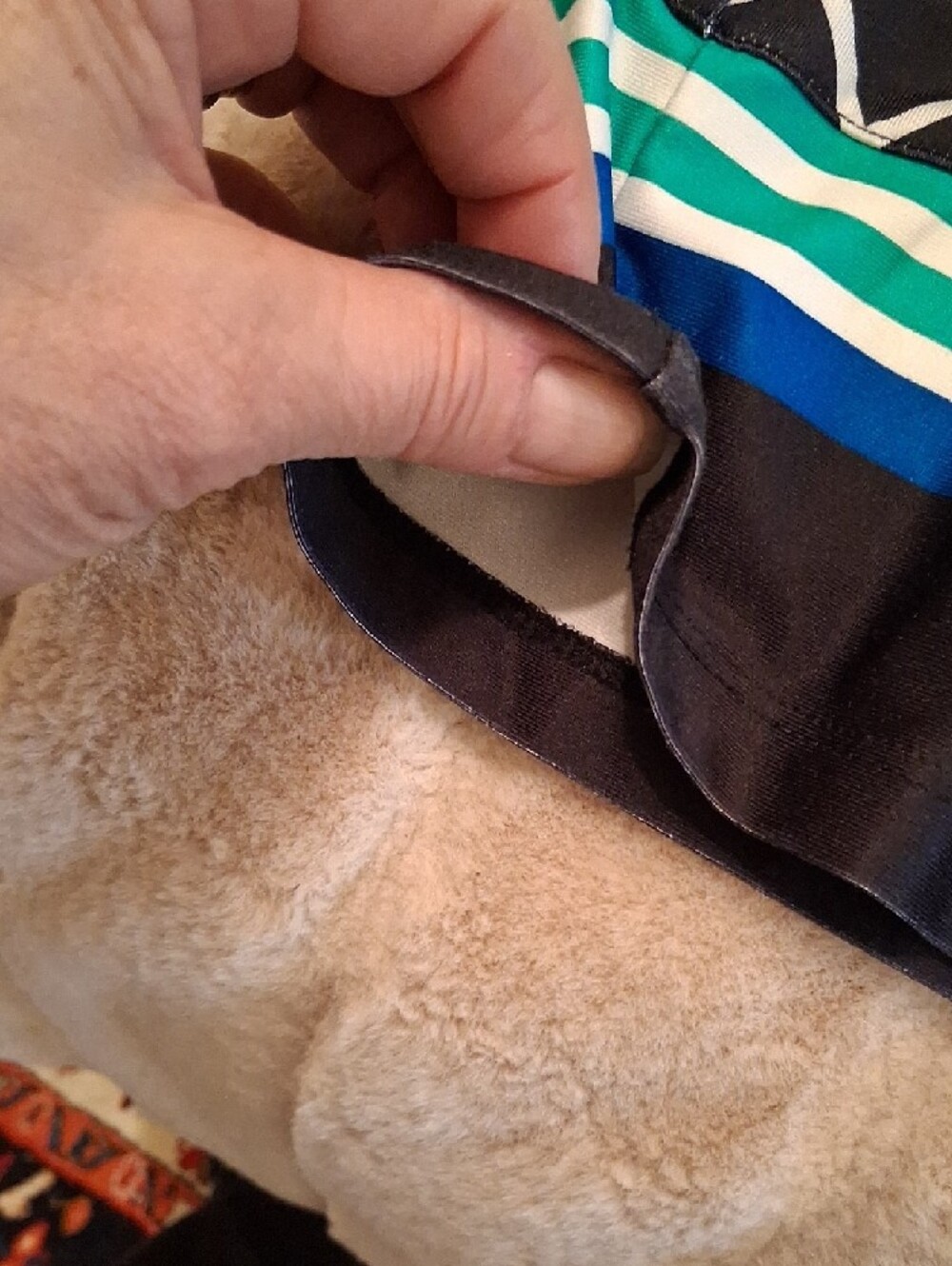 Tail Black Skort with White Lattice and Teal-Blue Stripe - Picture 9 of 9